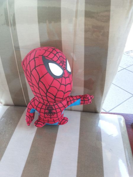 Homem Aranha